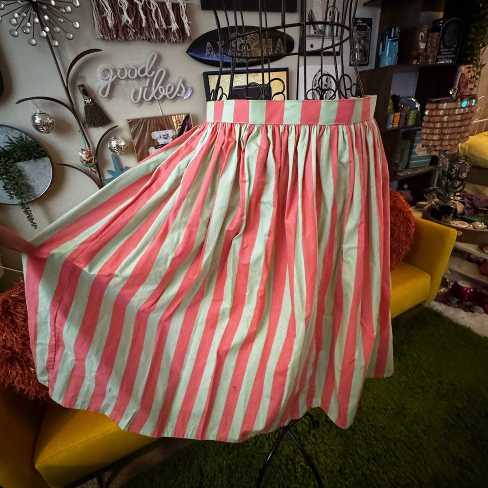 Unique Vintage Magnolia Park Pink and Light Blue Striped Skirt